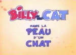 Billy the Cat