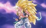 Dragon Ball Z - Film 13 : L'Attaque du Dragon - image 15