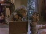 Les Feebles - image 4