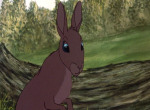 La Garenne de Watership Down - image 6