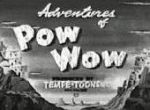 Pow Wow Petit Indien - image 1