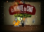 La Minute du Chat - image 1