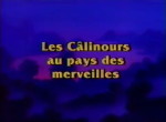 Les Calinours au Pays des Merveilles - image 1