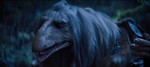 Dark Crystal (<i>série</i>) - image 15